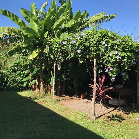 Les Hibiscus Villa Ambondrona  Bagian luar foto